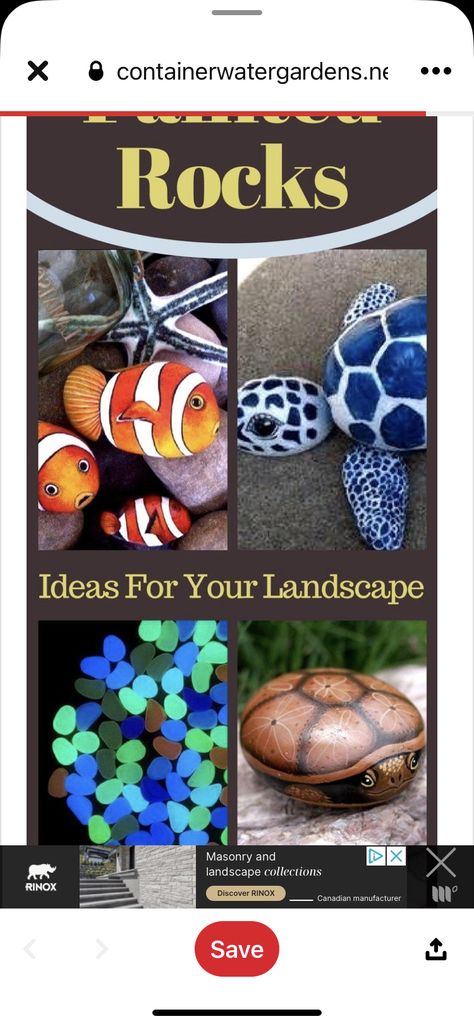 Garden Painting Ideas, Rocks Landscaping Ideas, Ideas For The Garden, Painted Rocks Ideas, Painted Rock Ideas, Rocks Landscaping, Tattoo Plant, Inspirational Rocks, Funny Rock