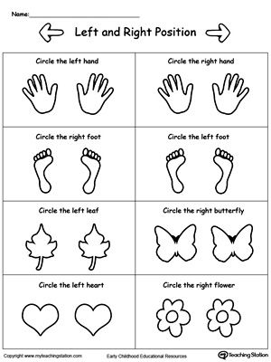 Which Is Left and Which is Right?: Help your child to learn Left and Right positions with this animals facing Left and Right worksheet. Left And Right Direction Worksheet, Life Skills Worksheets For Preschool, Left And Right Worksheet Preschool, Teaching Left And Right Preschool, Left And Right Worksheets Kindergarten, Directions Worksheet For Kids, Above And Below Worksheets, Teaching Left And Right, Kindergarten Printables Free