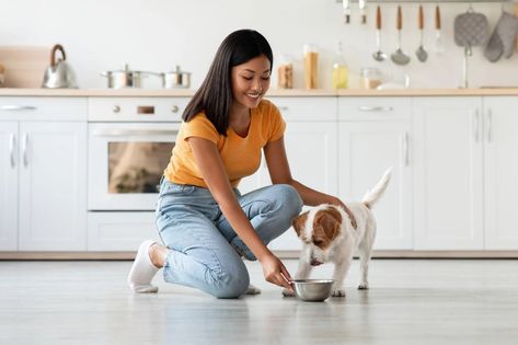 What Premium Dog Food Customers Are Most Concerned About | Current Issue | petproductnews.com Dehydrated Dog Food, Dog Puzzle Toys, Dog Puzzles, Raw Dog Food Recipes, Dog Nutrition, Dog Diet, Chicken And Rice, Essential Nutrients, Puppy Eyes