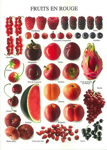 PHC 2598 - Fruits en rouge - Nouvelles Images Fruits And Vegetables List, Fruit Art Print, Food Charts, Exotic Fruit, Food Facts, Red Fruit, Fruit Art, French Food, Fruit And Veg