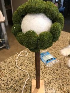 Looking for a fun and easy Spring decor item? This is a fun one! I picked up a few items at the dollar store and took them home to create my own DIY topiary. #diy #diyhomedecor #diytopiary #topiary Easy Spring Decor, Diy Topiary, Outdoor Topiary, Topiary Diy, Rustic Valentine, Pumpkin Topiary, Boxwood Topiary, Diy Dollar Tree Decor, Topiary Trees