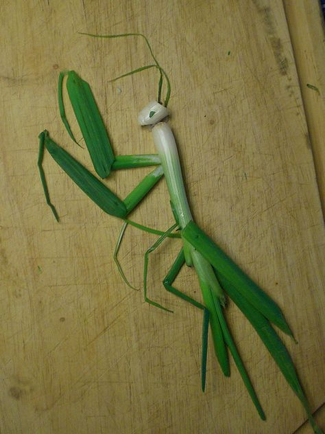 Praying Mantis, Scallion Division (flickr.com/photos/edithcereal) Vegetable Animals, Veggie Art, Fruits Decoration, Decorações Com Comidas, Food Sculpture, Fruit And Vegetable Carving, Amazing Food Art, Creative Food Art, Vegetable Carving