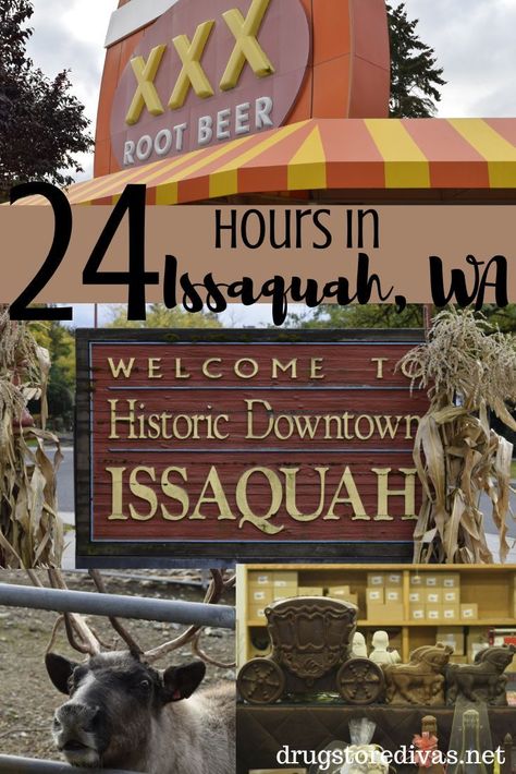 If you like animals and the outdoors, you’ll love the mountain town of Issaquah. Find out what things to do in Issaquah, Washington you don’t want to miss. #hosted Washington Things To Do, Seattle Airport, Issaquah Washington, Auburn Washington, Washington Travel, Hilton Garden Inn, Visit Santa, Vacation Tips, Cultural Activities