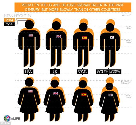 Dutch men are the tallest on the planet, a new study has discovered Dutch Men, Imperial College London, Height Table, Country Men, How To Grow Taller, Netherlands, Planets, The Past, Mens Tops