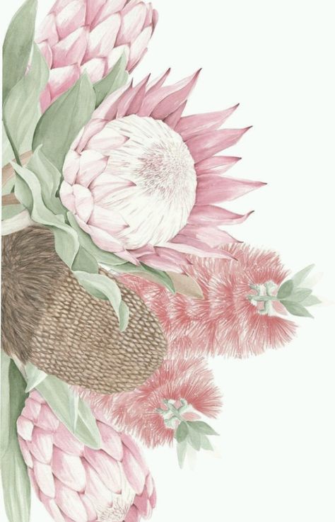 Large Flower Mural, Protea Art, Gum Leaves, Flower Mural, French Armoire, Australian Native, Flower Background Wallpaper, Botanical Drawings, Butterfly Wallpaper