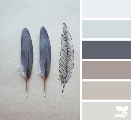 Farbkombi Wohnküche                                                                                                                                                      Mehr Taupe Color Palettes, Wall Color Schemes, Blue Gray Bedroom, Bedroom Color Schemes, Design Seeds, Bedroom Paint, Blue Bedroom, Living Room Colors, Taupe Color