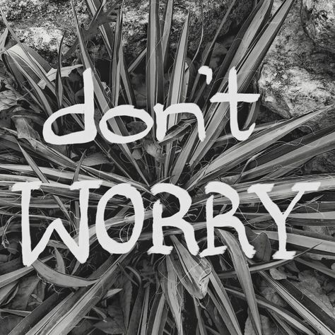 Don't worry be happy🌿 When Everything Falls Apart, I Feel Alive, Don't Worry Be Happy, I'm Fine, Normal Life, I Care, Get Over It, Don't Worry, My Images