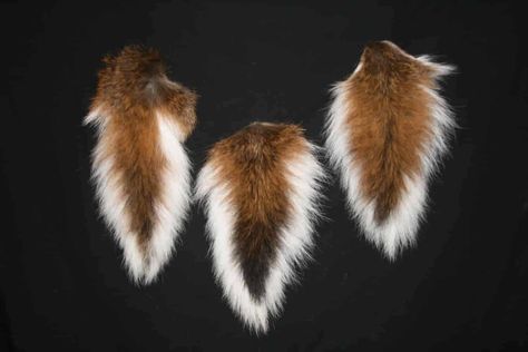 How To Preserve A Deer Tail - 6 Easy & Simple Steps! Deer Tail, Rebecca Davis, Animal Tails, Animal Totem, Bow Hunting, White Tail, Whitetail Deer, A Deer, Animal Totems