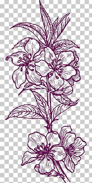 Myrtle Flower, Drawing Png, Botanical Flower Art, Adobe Illustrator Graphic Design, Abstract Graphic Design, Paisley Art, Textile Prints Design, Outline Drawing, Drawing Clipart