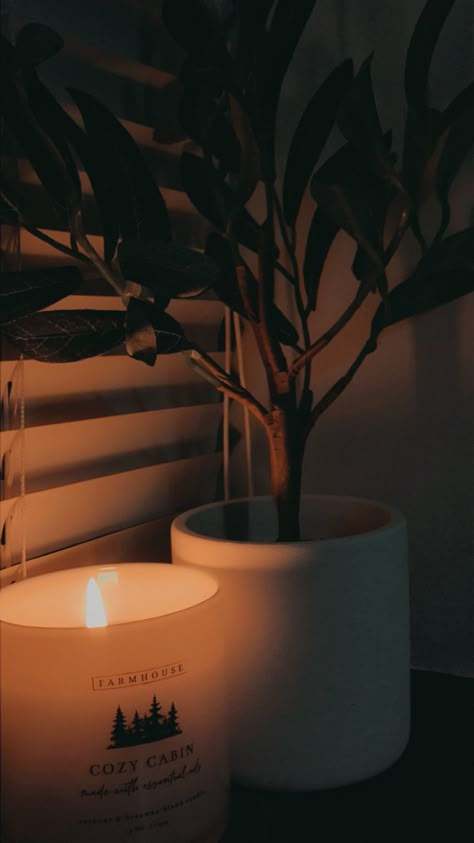 Aesthetic Candle Wallpapers, Aesthetic Candles Wallpaper, Candle Wallpaper, Asthetic Picture Candle, Plants And Candles Aesthetic, Fall Candles Aesthetic Wallpaper, Candle Plant, Night Time Candle Aesthetic, Candles Photography