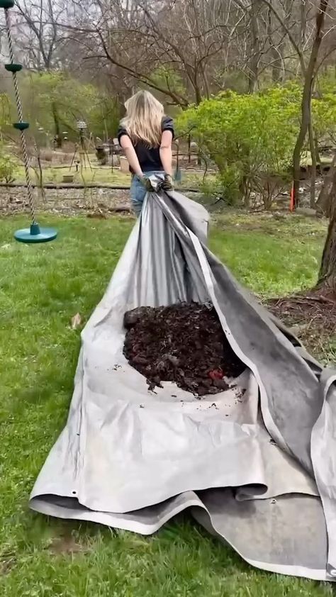 Watch the Fall Garden Workshop today to learn why setup matters most 🙌🏼 Comment WATCH and I’ll DM you the link to start watching right away. Update on filling this raised bed. After adding loads of leaves and straw and compost, I did come back and add coarse sand and top soil to the top 4-6”. The soil level has significantly dropped since installation but it’s nothing we can’t top off this fall. Learn more about why soil health matters so much and how to get your garden started this fall Garden Workshop, Garden Prepping, Garden Workshops, Veg Garden, Fall Garden, Top Soil, Garden Yard Ideas, Soil Health, Food Garden