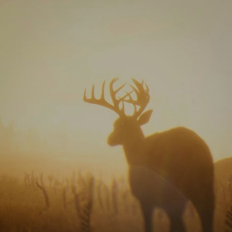 Red Dead Redemption 2 Deer high honor icon cowboy wild west outlaw aesthetic rdr2 4k hd Brown Royalty Aesthetic, 1800s Cowboy Aesthetic, Wild West Saloon Aesthetic, Dark Wild West Aesthetic, Faceless Cowboy Aesthetic, Trans Cowboy Aesthetic, High Honor Arthur, Red Deer Aesthetic, Read Dead Redemption 2 Aesthetic