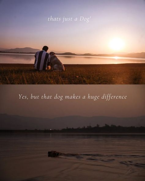 A photo of a dog sitting next to his hooman, looking up at him with adoring eyes. The hooman is petting the dog's head, and the background is a dusk Overlaid on the photo is the quote "Dogs are not our whole life, but they make our lives whole." written in white and cursive font. The pin also features hashtags including "doglove", "loyalcompanion", and "mansbestfriend". Dogs And Humans Quotes, Some Bonds Are Unbreakable Quotes, Dog Love Quotes Unconditional, Unbreakable Quotes, Dog Loyalty Quotes, Love And Loyalty, Bond Quotes, Humanity Quotes, Cosmetic Creative