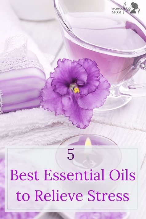 If you're looking for the best essential oils to relieve stress, look no further than these great options. You'll fall in love with the scent and calmness that the use of essential oils can bring! #essentialoils #healthyliving #selfcare via @momlessmom Fennel Essential Oil, Drinks Before Bed, Busy Woman, Mindset Tips, Chamomile Essential Oil, Frankincense Essential Oil, Boss Girl, Wellness Inspiration, Pinterest Group