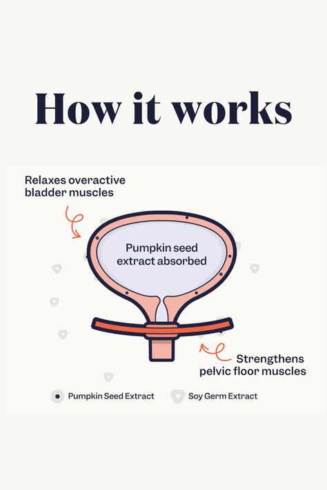 Are you tired of dealing with bladder control issues? 

Discover the power of supplements for bladder control in our latest blog post! Learn about the natural remedies that can support your urinary health and regain control.

Click here to read more! Leaky Bladder Remedies, Bladder Health, Detox Supplements, Health Heart, Control Issues, Urinary Health, Bladder Control, Pelvic Floor Muscles, Best Supplements