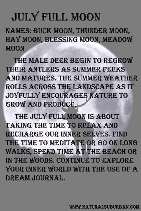 A look at July's full moon from a personal perspective.                                                                                                                                                      More July Full Moon 2024, Moon Months, July Full Moon, Full Buck Moon, Moon Watching, Full Moon Names, Witches Kitchen, Thunder Moon, Moon Board