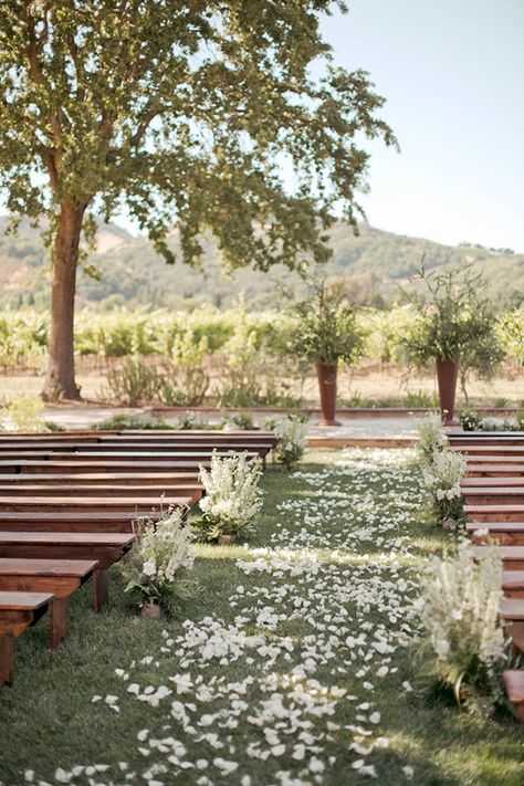 Wedding Ceremony Benches, Wedding Benches, Ceremony Benches, Vineyard Ceremony, Vineyard Wedding Decor, Aisle Ideas, Wedding Aisles, Floral Arches, Aisle Decorations