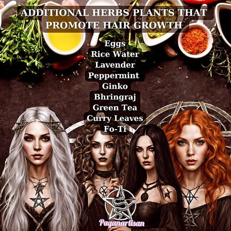 🌿🔮 Unlock the secrets of Pagan hair remedies that foster growth and maintain healthy locks!💆‍♀️ 👉 Pagan artisans have been using natural ingredients, herbs, and essential oils for centuries to keep their hair healthy and strong. Using the power of nature and ancient traditions, these remedies nourish the hair from root to tip, leaving it silky, strong, and beautiful. 🌿Rosemary and peppermint oils are known for their ability to stimulate hair growth and prevent hair loss. Adding these oils t... Spell For Hair Growth, Paganism Spells, Witchy Tips, Hair Magic, Promote Healthy Hair Growth, Hair Healthy, Power Of Nature, Stimulate Hair Growth, Hair Remedies