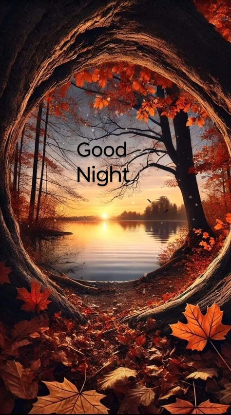 Good Night Fall Images And Quotes, Good Night Fall Images, Autumn Good Night, Good Night Fall, Goid Night, Goodnight Blessings, Good Night Meme, God Night, Funny Good Night Images