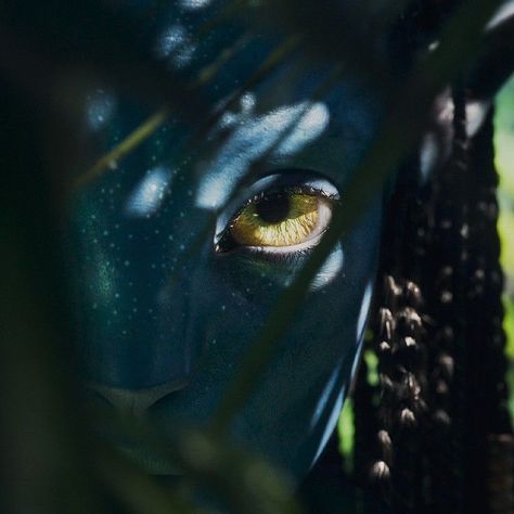 Blue Avatar, Water Icon, Avatar The Way Of Water, Avatar James Cameron, Avatar Films, Avatar Picture, Water Aesthetic, Septième Art, Pandora Avatar