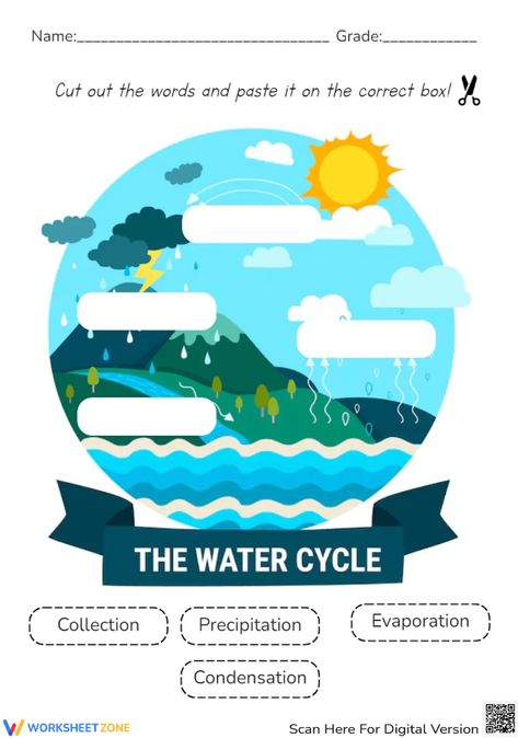 There are four basic steps in the water cycle. Let's your child recall the stages and label the diagram. Take this pdf and practice right now! #watercycle #science #worksheets #crafts #cut&paste #printables #water #environment #diagrams #livingthings #circles #pdfs #paper Water Environment, The Water Cycle, Water Cycle, Diagram Design, Science Worksheets, Cut And Paste, Free Printable, Free Printables, Circles