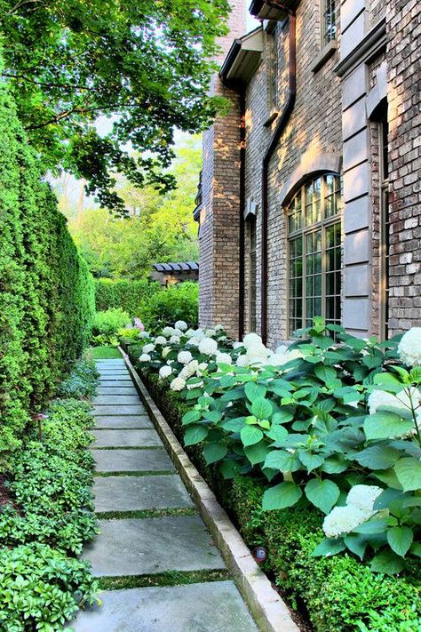 georgianadesign: Glencoe ‘French chateau’ formal landscape.... #landscapearchitecture Create Boundaries, Hydrangea Landscaping, Garden Hedges, Side Yard Landscaping, Boxwood Hedge, Side Yards, Side Garden, Landscape Designs, Have Inspiration