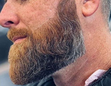 76 Hot Medium Beard Styles for Men (Complete Guide) Classic Beard Styles, Medium Length Beard Styles, Medium Length Beard, Groomed Beard, Trim Beard Styles, Mens Trimmed Beards Short, Medium Beard Styles For Men, Kratos Beard Style, Full Beard Styles For Men