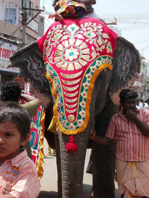 painted elephant Festival India. Three men accompanied the elephant – two on foot and one riding. Tattoo Elephant, Elephant India, Baby Elephant Nursery, Elephant Photography, Elephants Never Forget, Boho Elephant, Elephant Parade, Elephant Painting, Indian Elephant