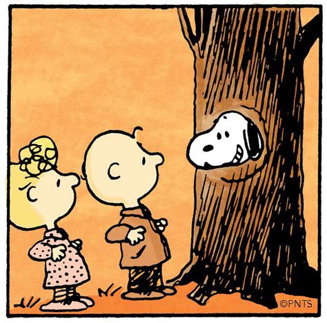 Peeking Around The Corner, Charlie Brown Characters, Sally Brown, Snoopy Comics, Snoopy Cartoon, Charles Schulz, Peanuts Cartoon, Peanuts Characters, Snoopy Wallpaper