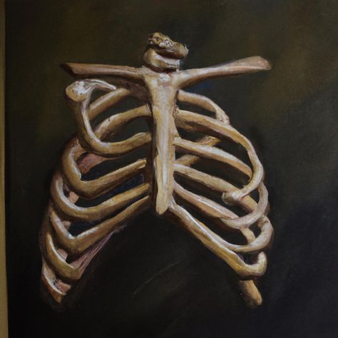 Rib Cage Painting, Ribs Painting, Ribcage Art, Human Ribs, Ribs Lorde, Sides For Ribs, Board Art, Realistic Paintings, Art Academy