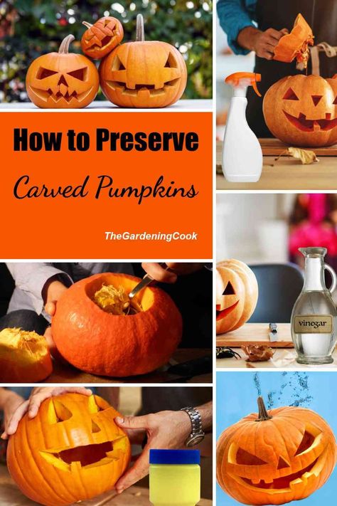 Halloween Carved Pumpkins, Preserving Carved Pumpkins, Craved Pumpkin Ideas, Toddler Pumpkin Carving, How To Preserve Pumpkins, How To Carve A Pumpkin Easy, Pumpkin Carving Hacks, Preserving Pumpkins For Outside, How To Crave A Pumpkin