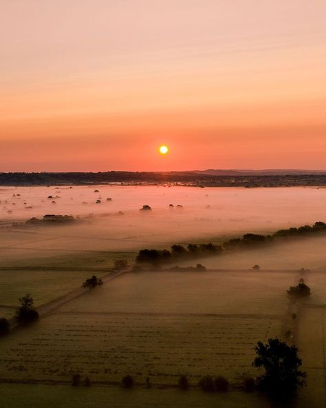 Foggy Field, Film Moodboard, Dark Fairy Core, Dark Fairy, Fairy Core, Somerset, Beautiful Things, Agriculture, Art Sketches