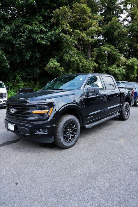 Your reliable partner for work and adventure this 2024 Ford F-150 XLT! 🗺️ 🛣️ (Stock#FE45303)  #HealeyBrothers #HudsonValley #HVNY #ford #fordf150 #f150 Poughkeepsie New York, Chevrolet Dealership, Ford F150 Xlt, New Hampton, Hudson Valley Ny, Chrysler Dodge Jeep, Car Auctions, Ford F 150, Hudson Valley