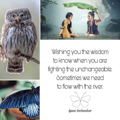 Scenic Quotes, Hippie Life, Quotes, Animals, Hippy Life