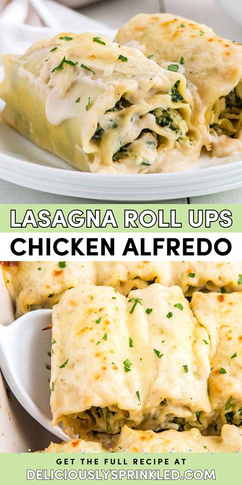 Always a perfect comfort food idea! This hearty dinner recipe is also great as leftovers for lunch later in the week. The whole family will love these chicken Alfredo lasagna roll ups that are deliciously creamy and cheesy! Chicken Alfredo Roll Ups, Alfredo Roll Ups, Chicken Alfredo Lasagna Roll Ups, Alfredo Lasagna Roll Ups, Chicken Lasagna Rolls, Chicken Alfredo Lasagna, Alfredo Lasagna, Lasagna Roll Ups, Lasagna Roll