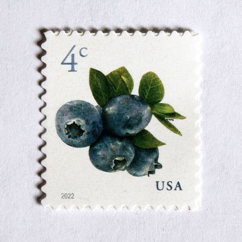 Twenty 4c BlueberryIssued: January 9, 2022Scott Catalog #565220 Mint, unused postage stamps with original gum as issued by the Post Office. These stamps are genuine and valid to use as postage for current mailing. Be sure to use enough total postage to meet the current postal rate for the item you are mailing. Also good to use for scrapbooking or displaying in a small picture frame. It's a miniature work of art. About this stamp:Blueberries are an excellent source of vitamins, minerals and antio Small Picture Frame, طوابع بريد, Small Picture Frames, Postage Stamp Design, Mail Stamp, Postage Stamp Art, Vintage Postage Stamps, Vintage Postage, Post Stamp