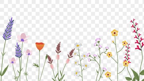 Wild Flower Border, Spring Flower Border, Wildflower Background, Wildflower Border, Border Transparent, Flower Border Png, Wildflower Drawing, Watercolor Border, Flowers Wild