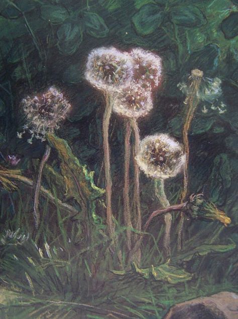 Dandelions by Jean Francois Millet Jean Francois Millet, Barbizon School, Henri Fantin Latour, Pastel Drawing, June 19, Pastel Art, Millet, Museum Of Fine Arts, Art Movement