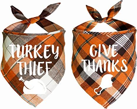 Thanksgiving Bandana For Dogs, Thanksgiving Dog Bandana, Dog Cricut, Bandana Ideas, Bandana Diy, Dog Bandana Diy, Holiday Packaging Ideas, Bandanas Diy, Animal Clothes