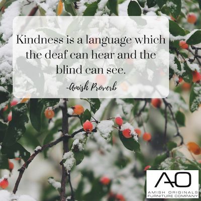 "Kindness is a language which the deaf can hear and the blind can see." ~Amish Proverb #amishproverb #realsimple #kindness #loveyourneighbor Amish Proverbs, Life Lesson, Real Simple, Lesson Quotes, Life Lesson Quotes, Positive Words, Proverbs, Life Lessons, Love You