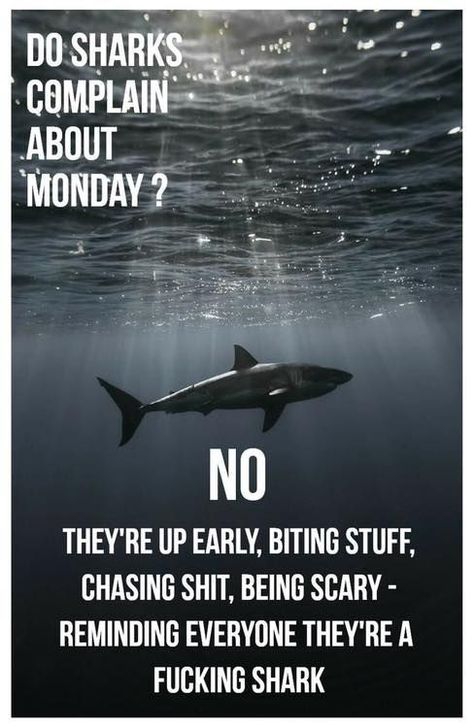 Mondays get a bad rap, they really are just another day that we have. Every single day you have choices to make, starting with how you face the day. If you dread it, any day can suck, like for me I work my 9 to 5 four days a week. My Monday is actually Wednesday, and so instead of Monday being the "dreaded" day mine is later in the week. We like to hate on Monday because for most people it spells the end of the weekend. Warrior Quotes, Badass Quotes, Work Humor, Work Quotes, Gorillaz, A Sign, Sharks, Great Quotes, Wisdom Quotes