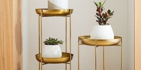 Spun Metal Plant Stand from West Elm – $89-$110 Tiered Plant Stand, Oversized Planters, White Ceramic Planter, West Elm Kids, Metal Plant Stand, Indoor Outdoor Planter, Brass Texture, Outdoor Garden Decor, Modern Planters