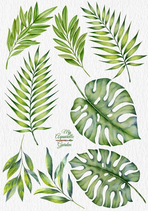 Tropical leaves. Exotic plants. Botanical illustration. Plants Botanical Illustration, Watercolour Plants, Tropical Leaves Illustration, Cactus Doodle, Plants Watercolor, Leaves Watercolor, Leaves Illustration, Watercolor Plants, Leaf Drawing