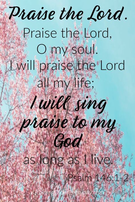 Praise the Lord, Praise the Lord, O my soul. I will praise the Lord all my life; I will sing praise to my God as long as I live. Ps. 146:1-2 Psalm 140, Praise God Quotes, Oh My Soul, Lord Quote, Bible Verses Kjv, O My Soul, Gospel Quotes, Growing Older, Praise The Lord