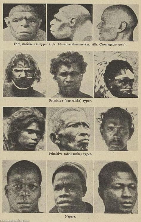 Photographs of "human races," organized to suggest a common trait shared by "primitive" Australians, Africans, and Neanderthals Baby Contest, Origin Of Species, Haunting Photos, Dark Stories, Human Race, History Facts, Norway, The Darkest, Image Search