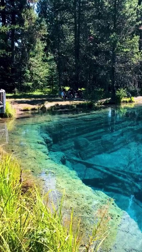 Beautiful Lake In Forest, Clear Lake Oregon, Water Places, Oregon Lakes, Mount Hood National Forest, Crater Lake Oregon, Oregon Beach, Black Hold, Aqua Culture