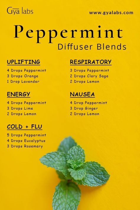 Image of peppermint essential oil and herbs with a caption "Refreshing Peppermint Essential Oil Blends" Peppermint Essential Oil Blends, Benefits Of Peppermint Essential Oil, Mint Essential Oil, Essential Oil Combinations, Essential Oil Diffuser Blends Recipes, Essential Oils Health, Hair Diy, Oil Diffuser Recipes, Essential Oil Diffuser Recipes