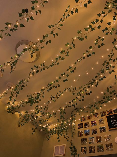 Vine And Lights Bedroom Decor, Lights On Ceiling Bedroom, Vines On Slanted Ceiling, How To Put Vines On Ceiling, Botanical Aesthetic Room, Hanging Vines Lights, Vines And Twinkle Lights, Ceiling Vines Decor, Vine Ceiling Decor