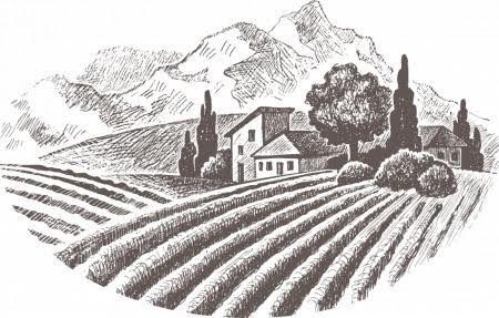 Vineyard Drawing, Vine Sketch, Town Drawing, Wine Gift Tags, Barolo Wine, Farm Quilt, Garden Drawing, Farm Logo, Vintage Portraits