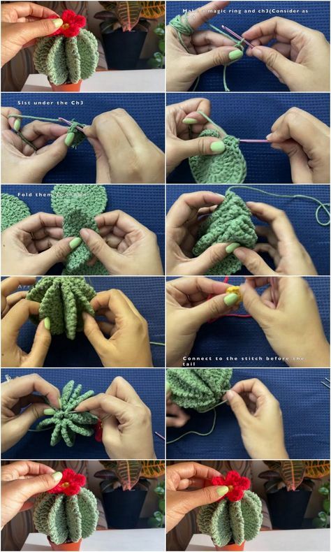 Crochet Cactus Patterns Crochet Fence Post Cactus Free Pattern, Crochet Cactus Hat Pattern, Cactus Amigurumi Free Pattern, Crochet Potted Plants Free Pattern, Diy Crochet Cactus, Crochet Cactus Free Pattern, Crochet Succulent, Cactus Craft, Crochet Garden